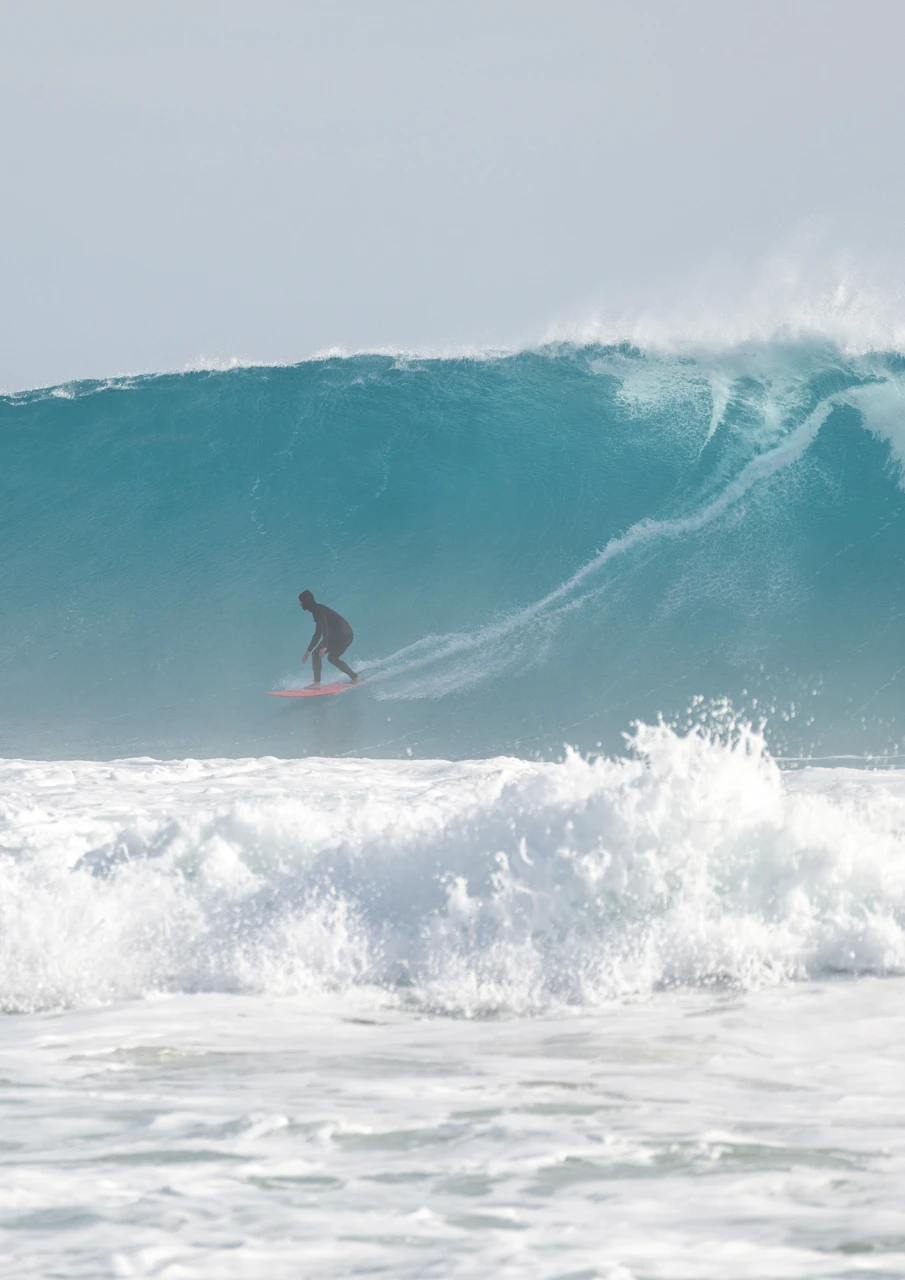 Surfer