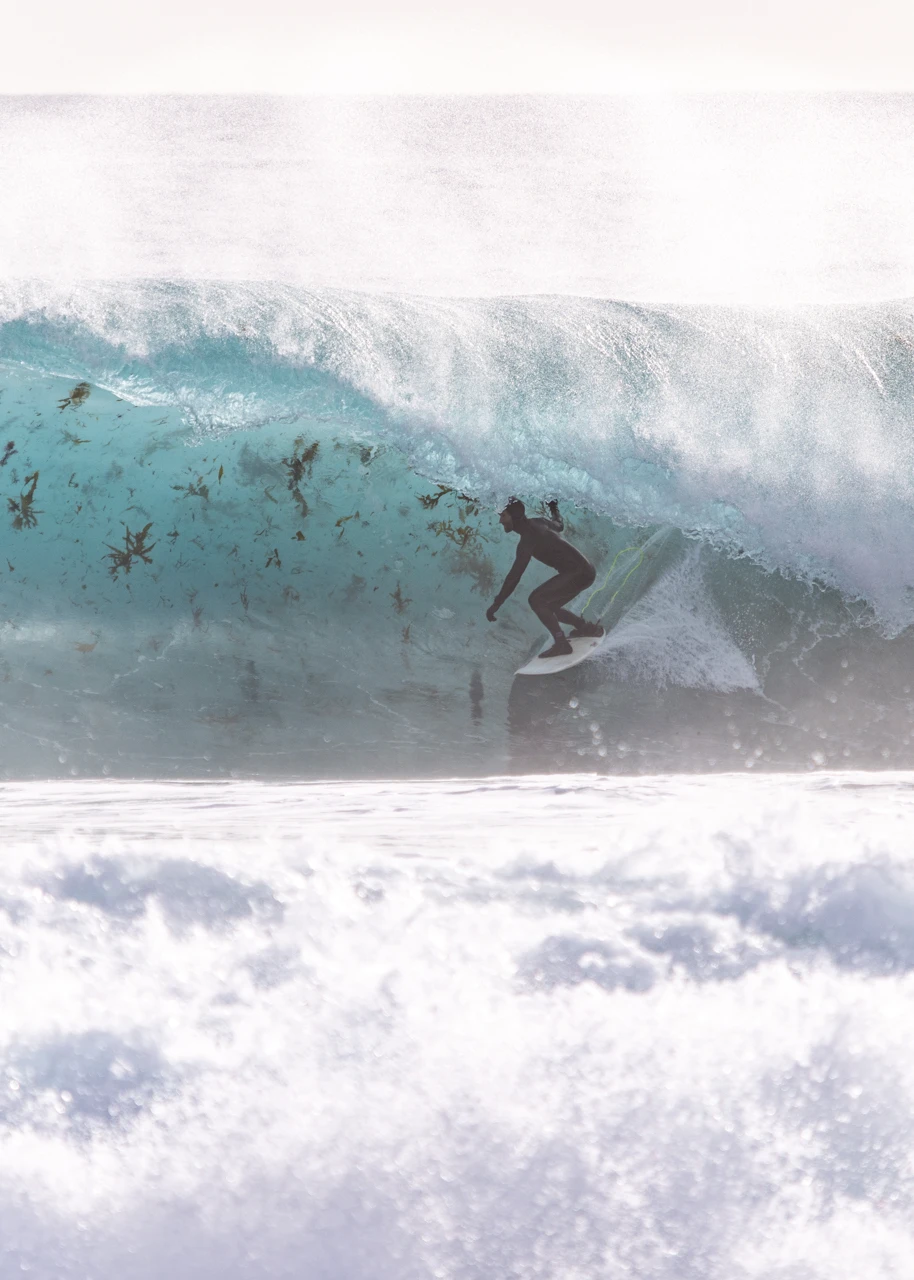 Seaweed and surfer