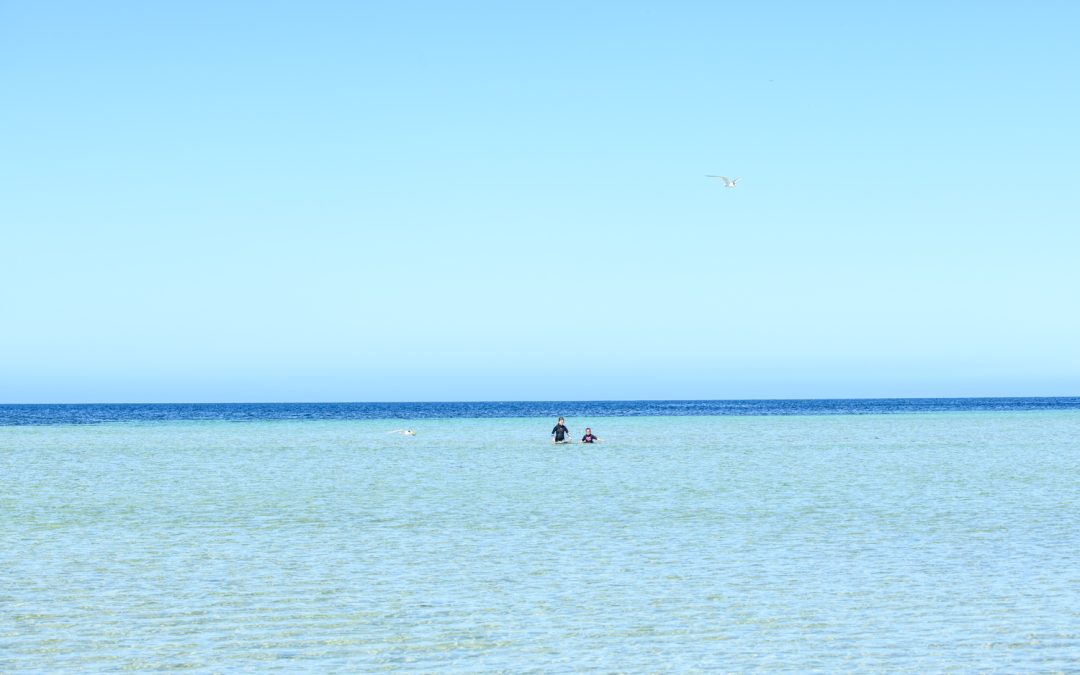 Tips on keeping safe at our South Australian beaches.