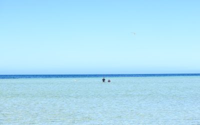 Tips on keeping safe at our South Australian beaches.