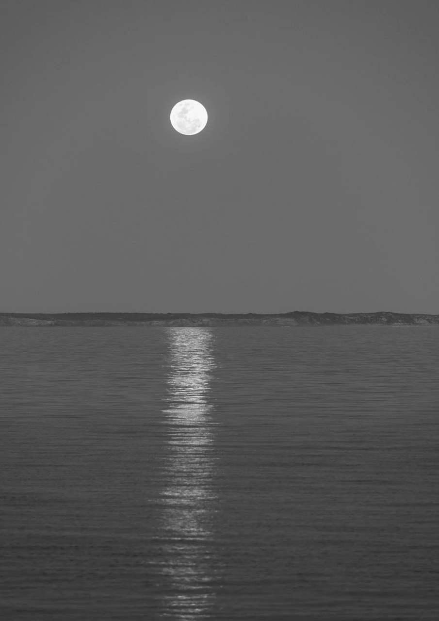 Moon over ocean in black and white