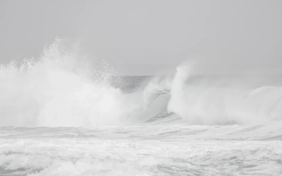 Black and white images of our coastline