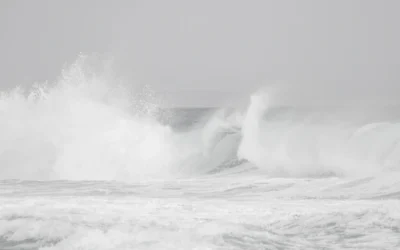 Black and white images of our coastline