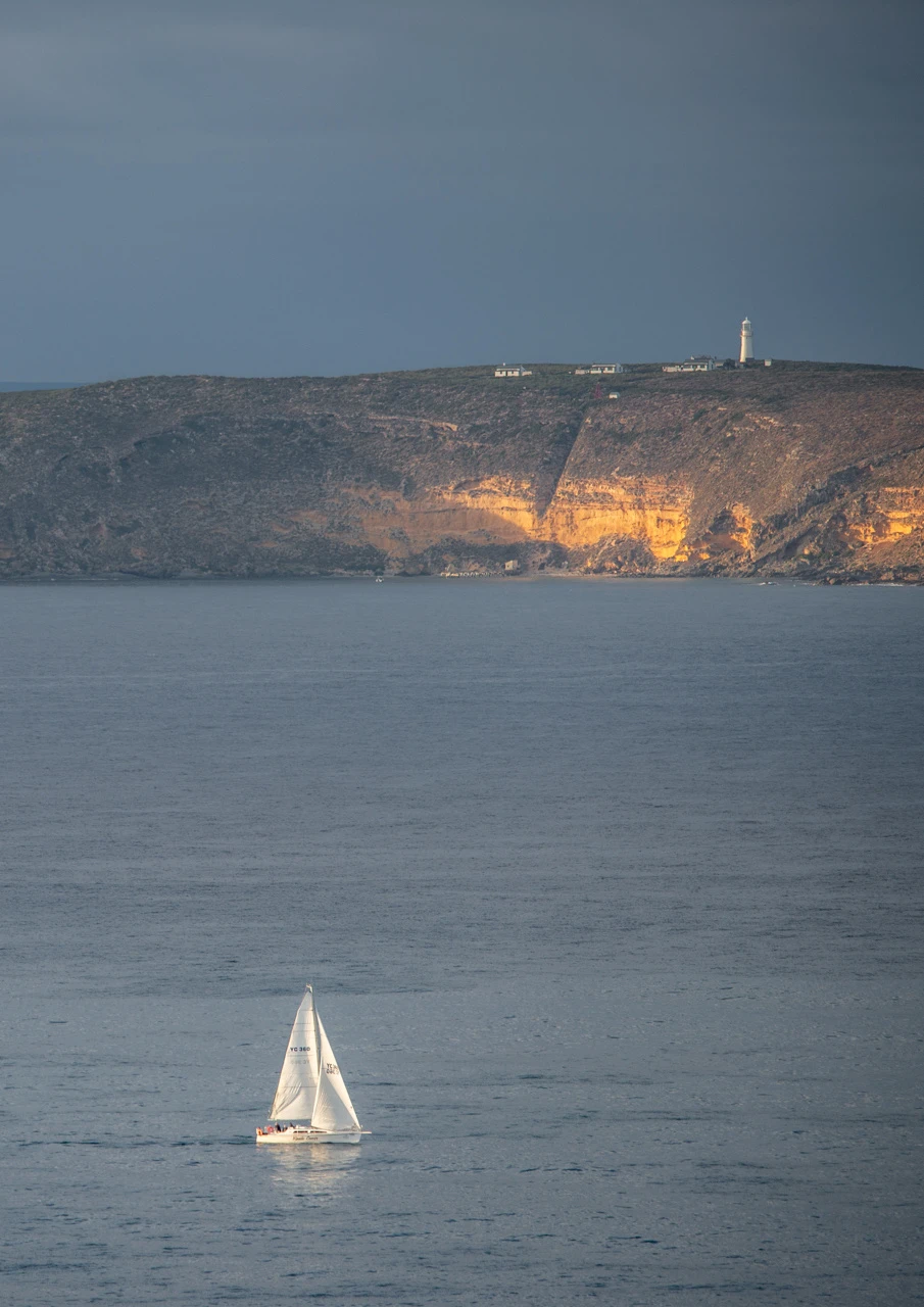 Yacht race