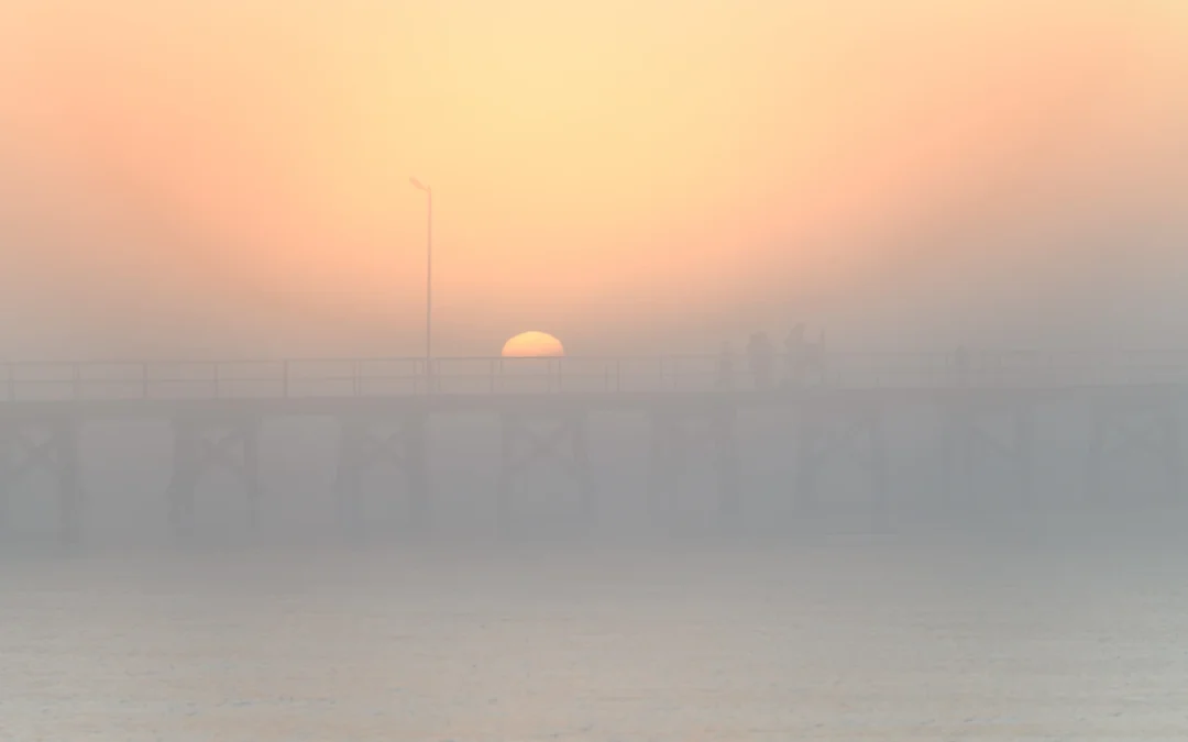 5  ways to photograph fog.
