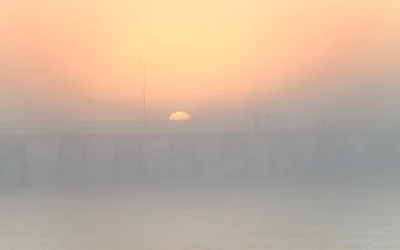 5 ways to photograph fog.