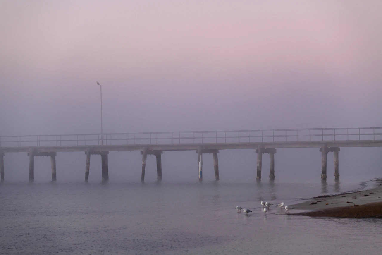 Fog on the jetty