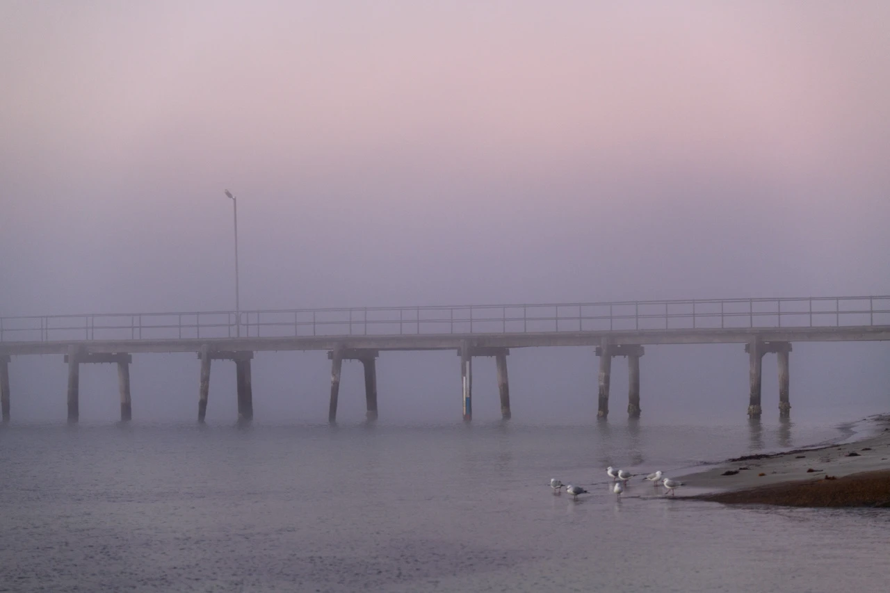 Pink foggy morning Fog on the jetty