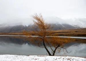 A lake in Hakatere Conservation Park