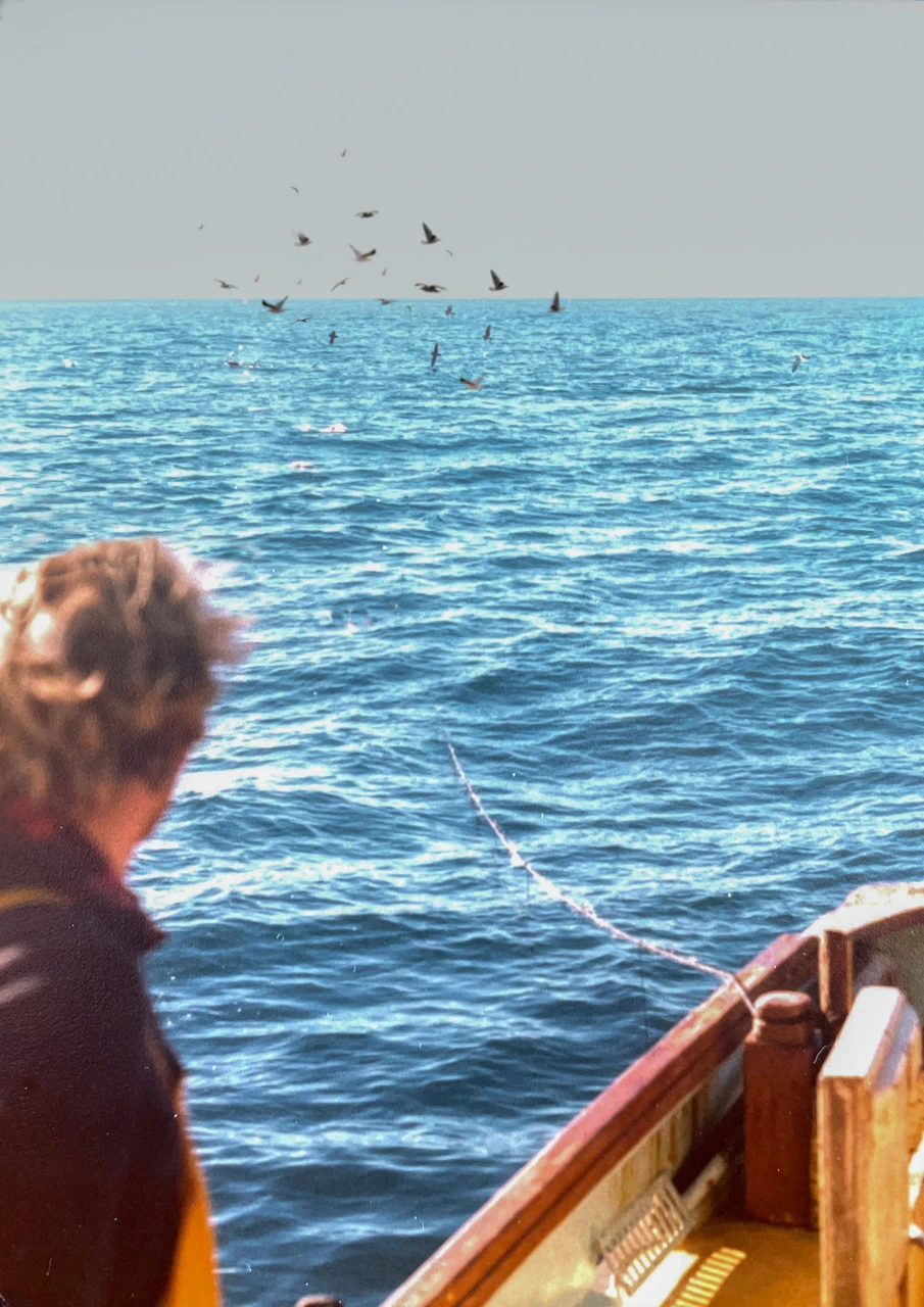 Out at sea and the sea birds flying Out at sea a fishing day