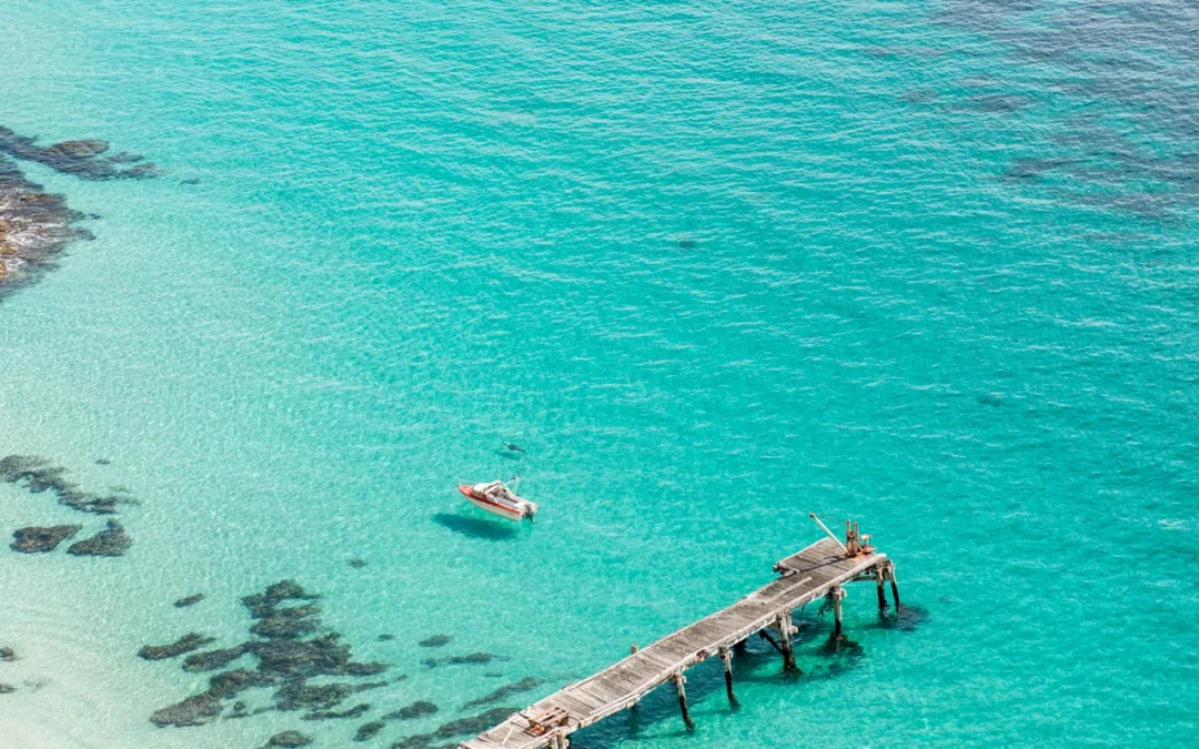 A visit by boat to Althorpe Island, South Australia