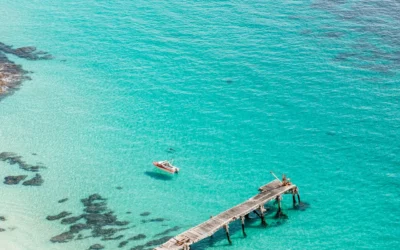 A visit by boat to Althorpe Island, South Australia