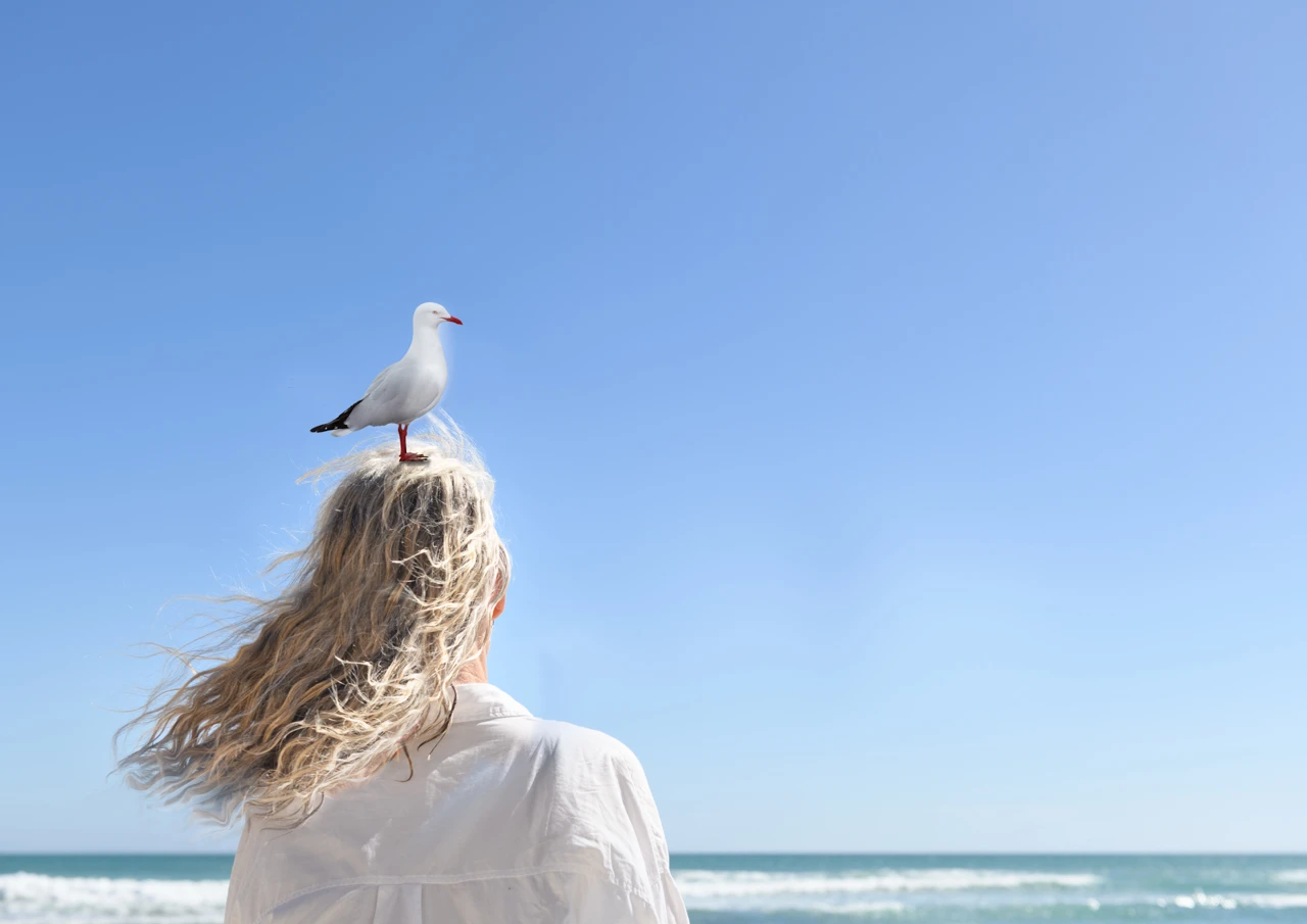 Girl with seagull on her head Wendy Philip Seagull on my head Wendy Philip