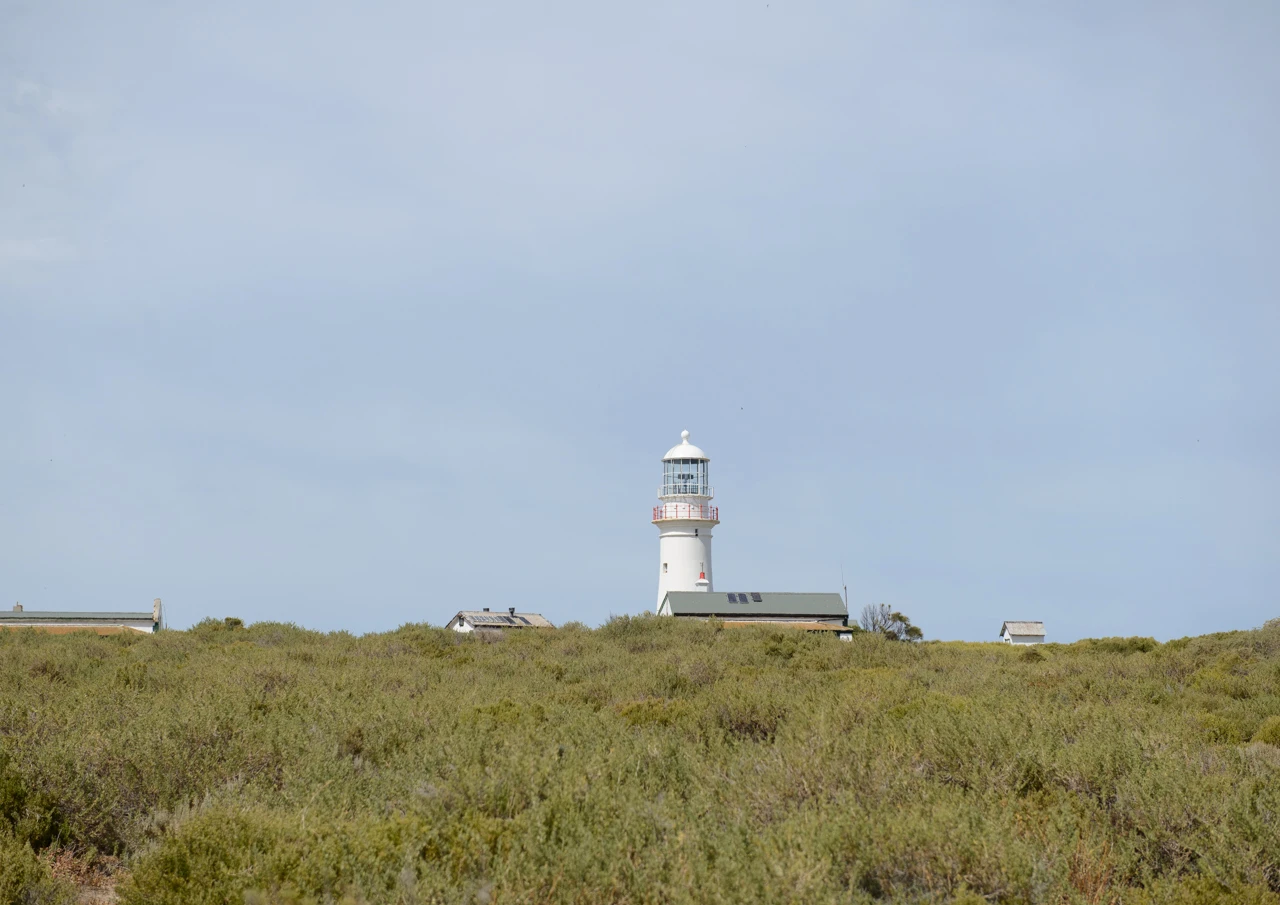 Lighthouse amongst the bushes Time to leave light house amongst the bushes