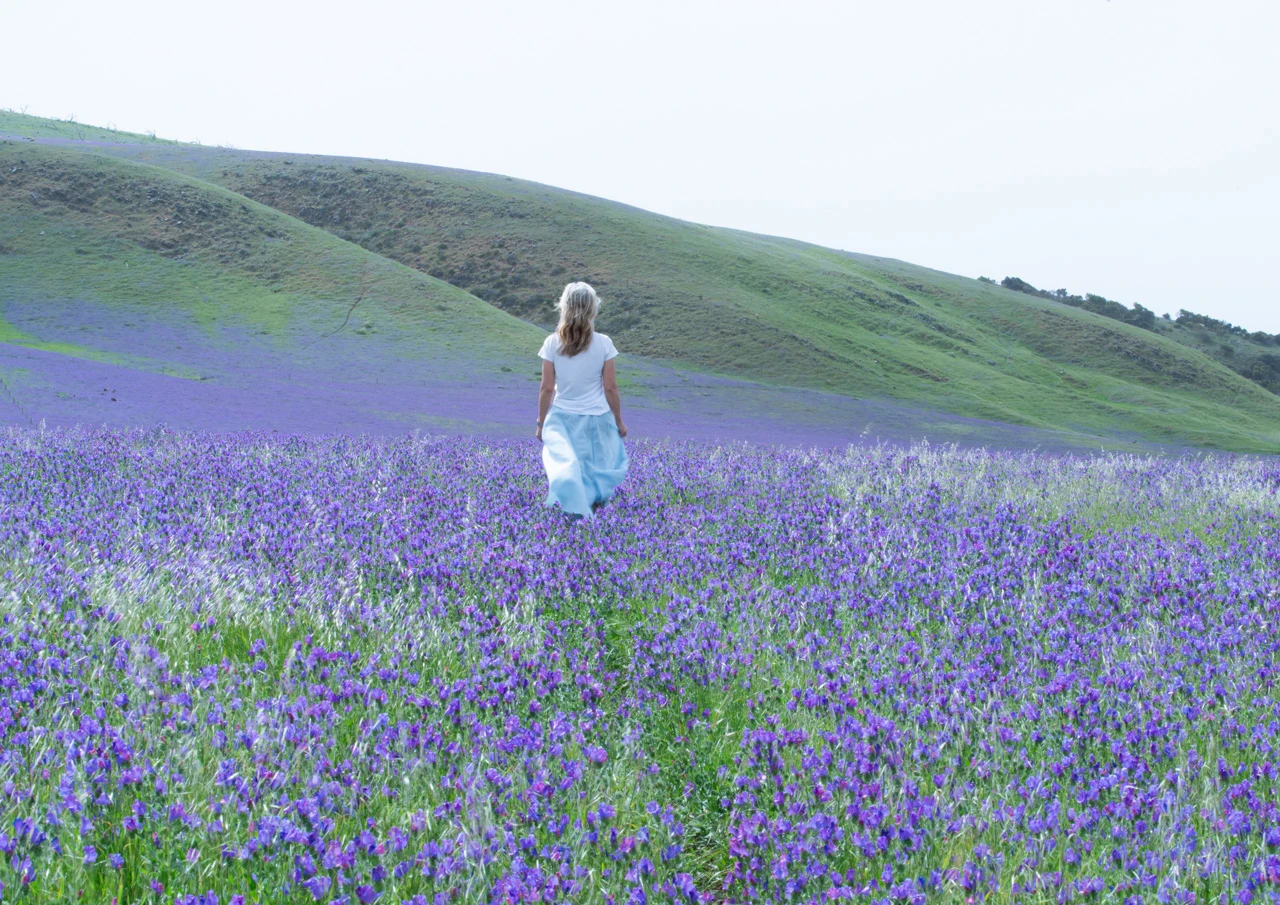 Walking in a field of flowers Wendy Philip Wendy Philip in a field of purple flowers