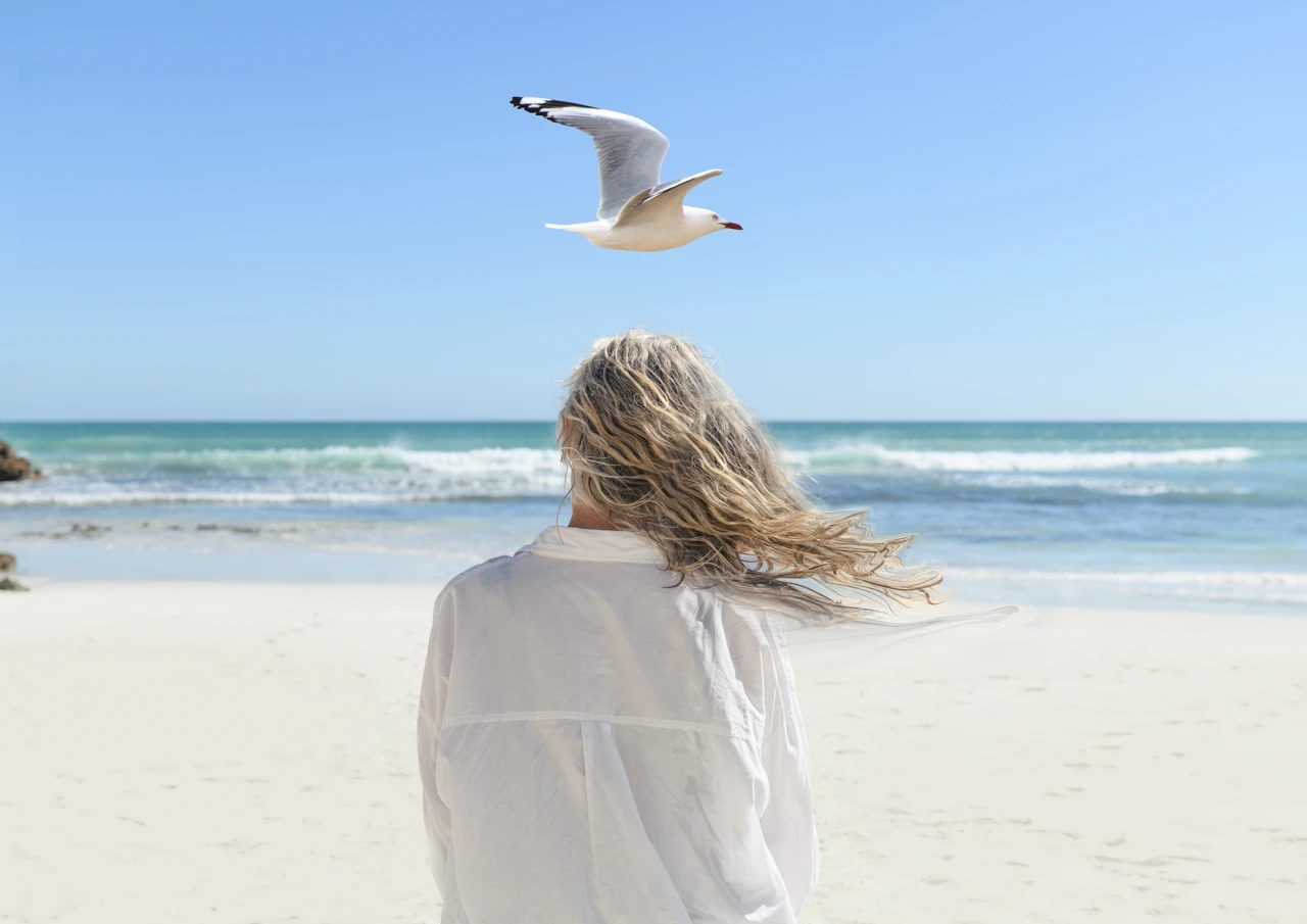 Wendy Philip and seagull flies overhead Seagull flies over head Wendy Philip