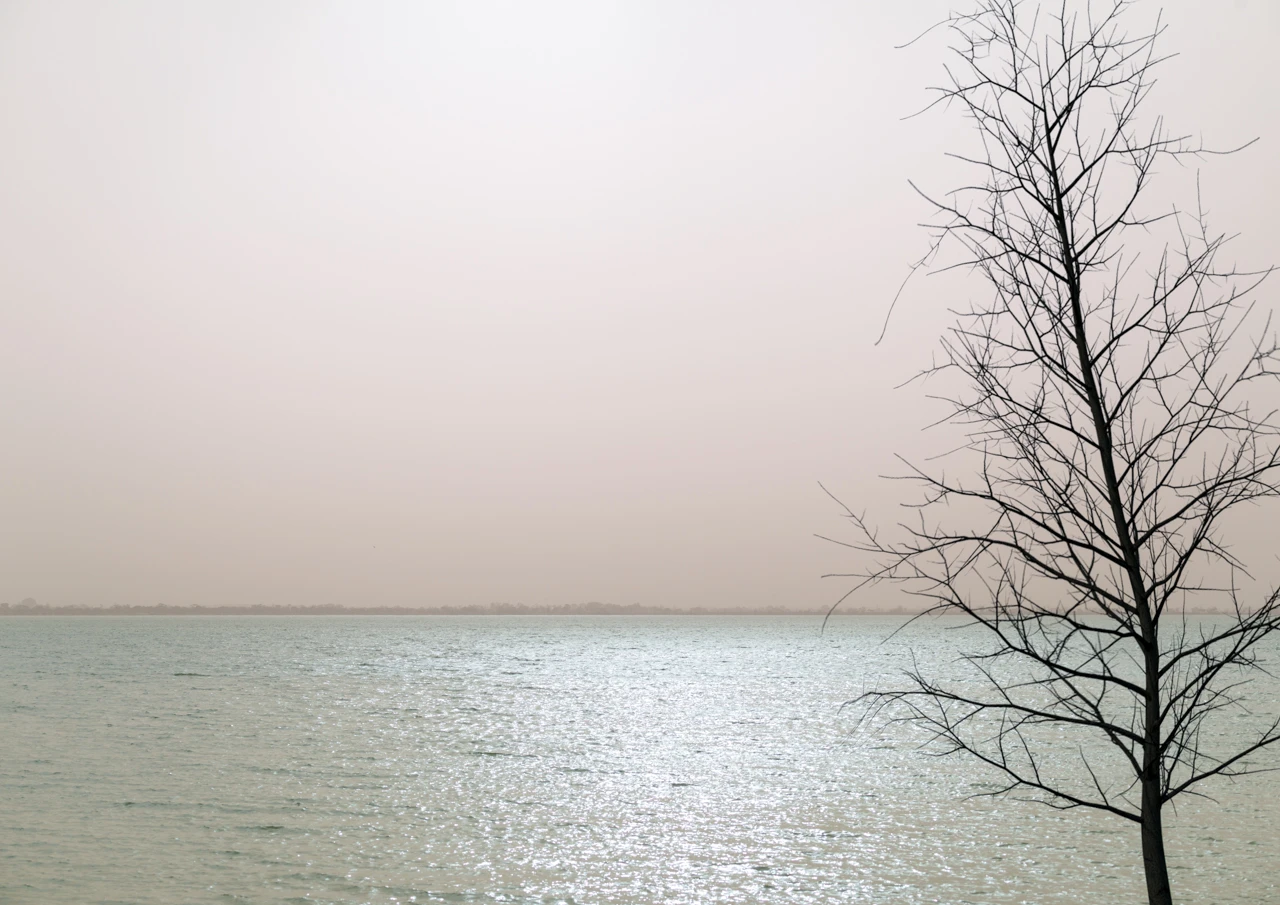 Dust storm at Barmera. Lake Bonney, South Australia