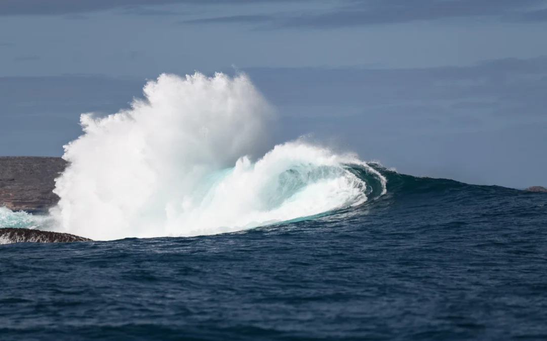 Eames Reef, out in the depths of the ocean