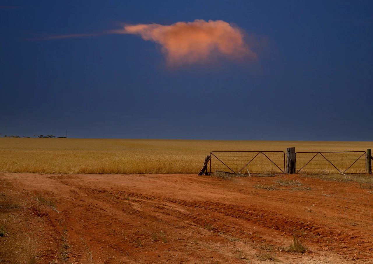 Red sky and an Australian outback road and gates
