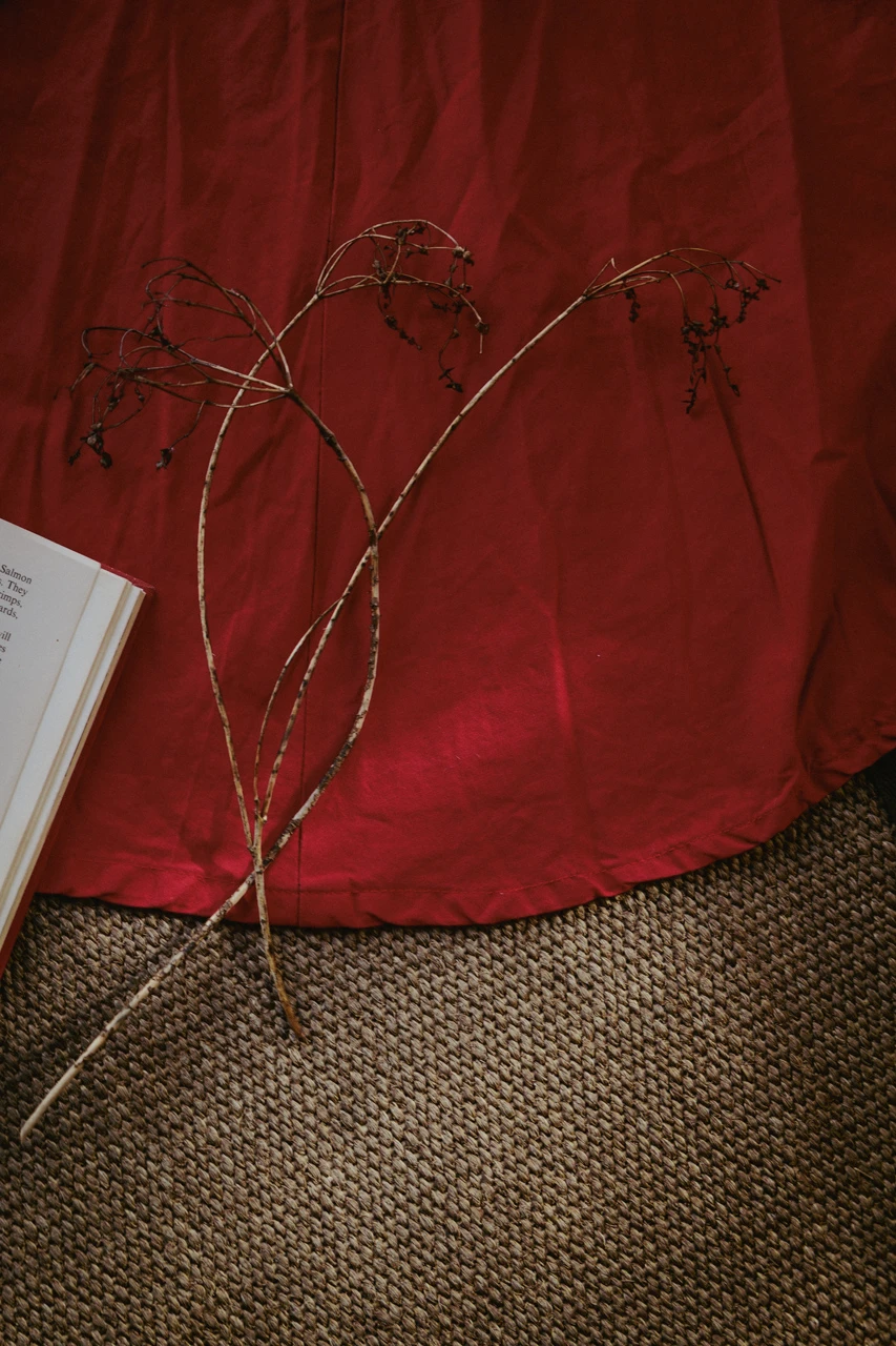 Book and coloured material red.