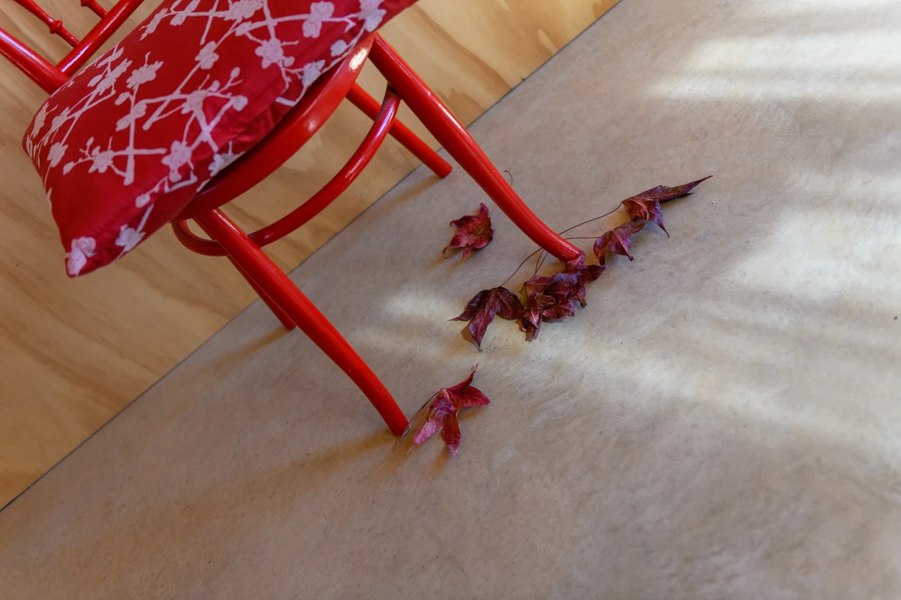 Red chair cushion and some leaves