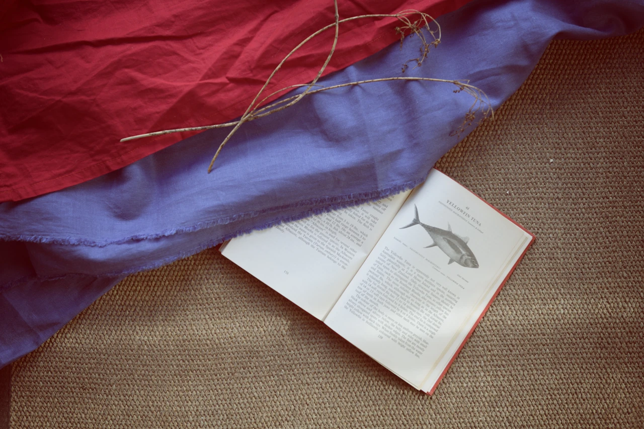 Fishing book and red material