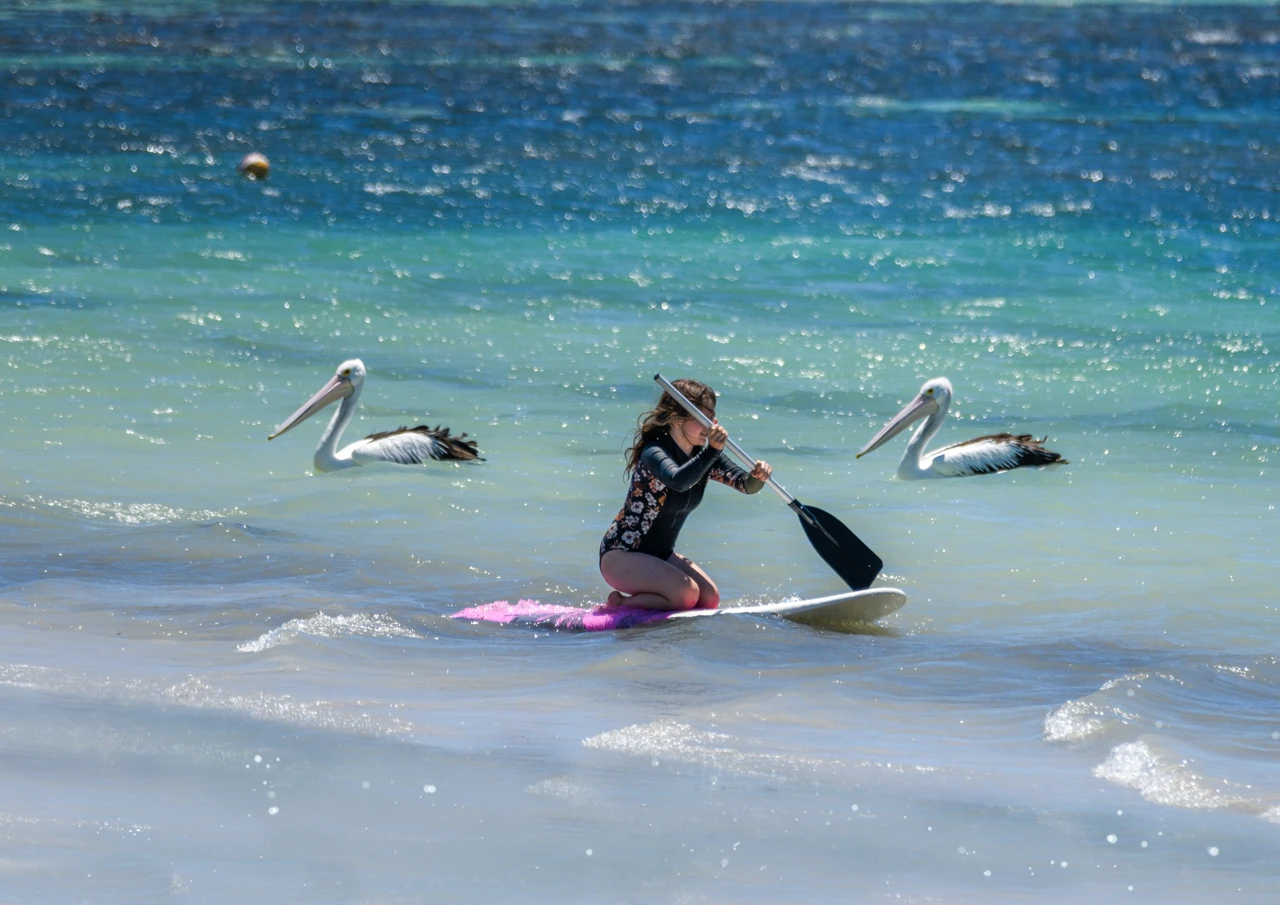 Girl on surf board and two pelicans gliding by Girls on surf board and pelicans