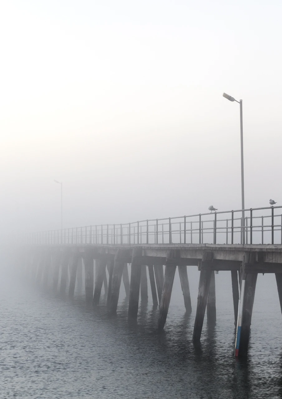 Bit cool and foggy at the Marion Bay jetty