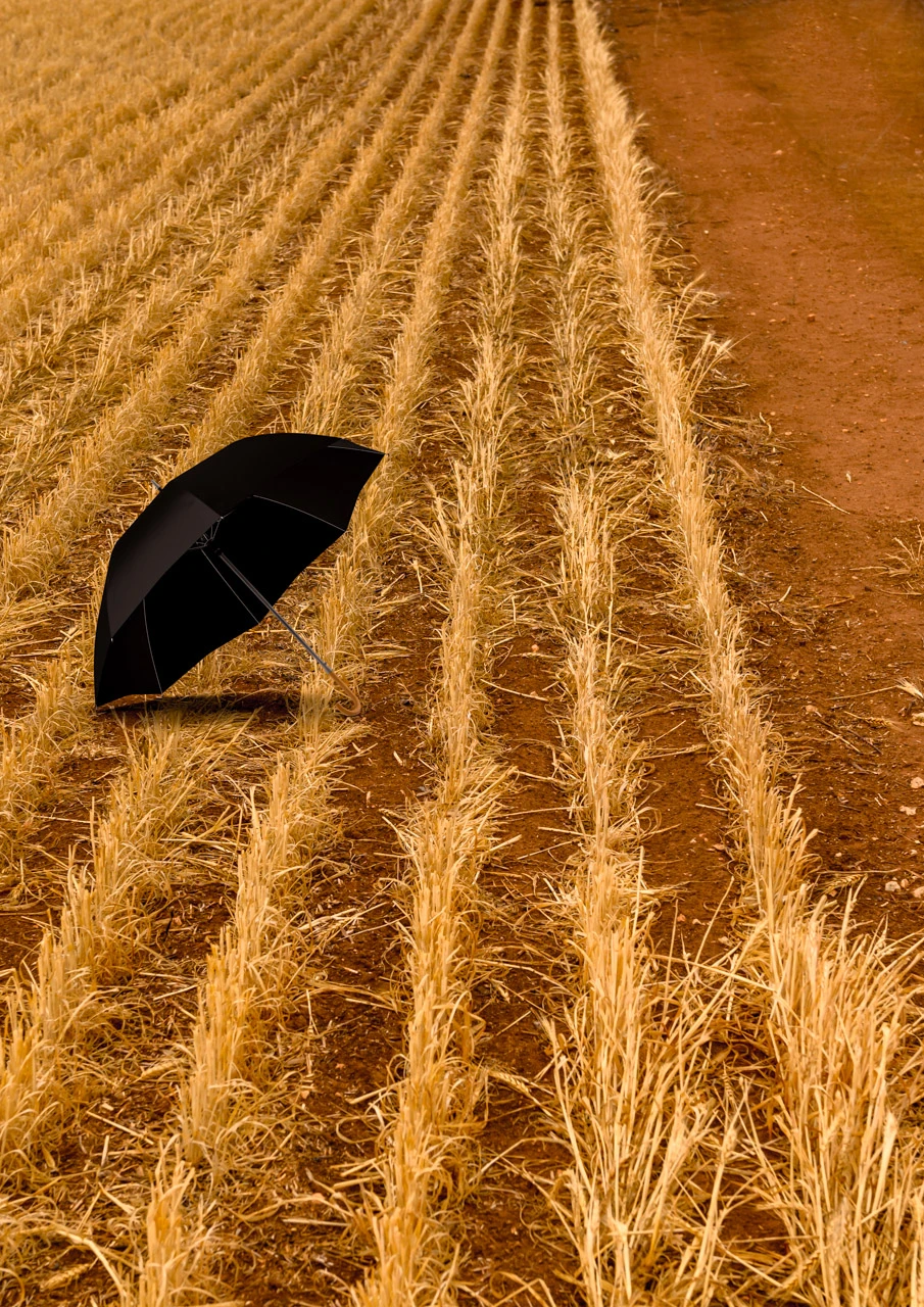 Umbrella in harvested wheat field