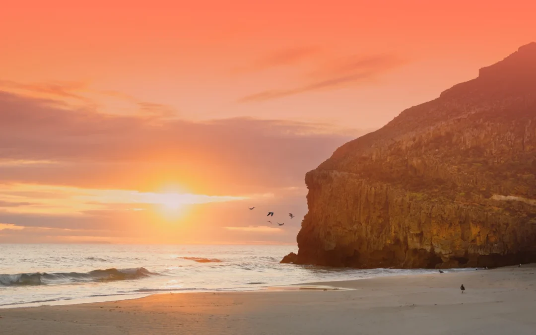 The magic of photographing the color orange