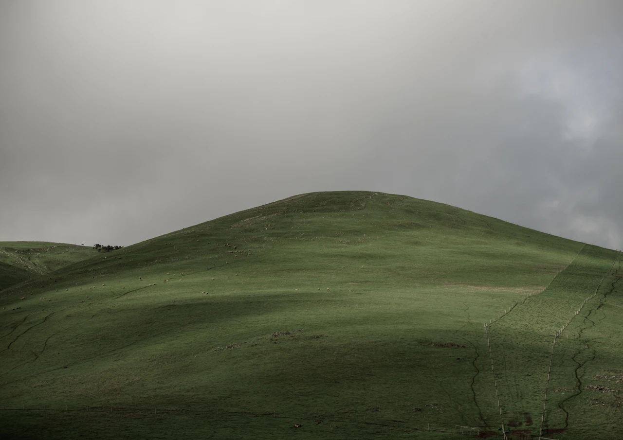Green hills and sheep in the distance