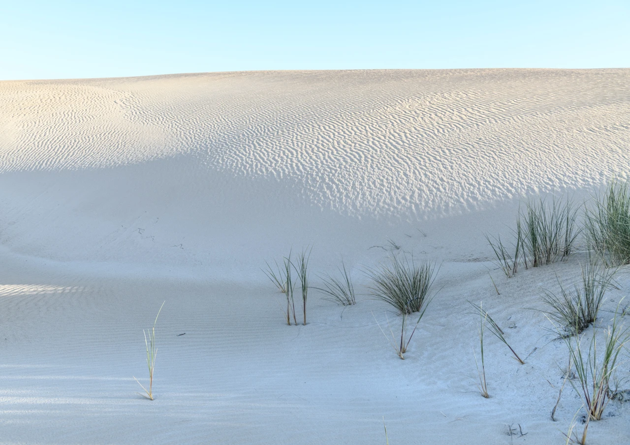Formby Bay Yorke Peninsula sand dunes Close up of sand dunes Yorke peninsula