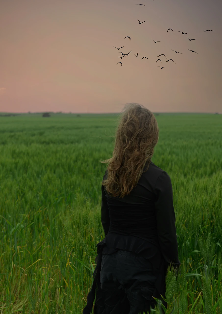 Girl in green wheay field looks at birds flying