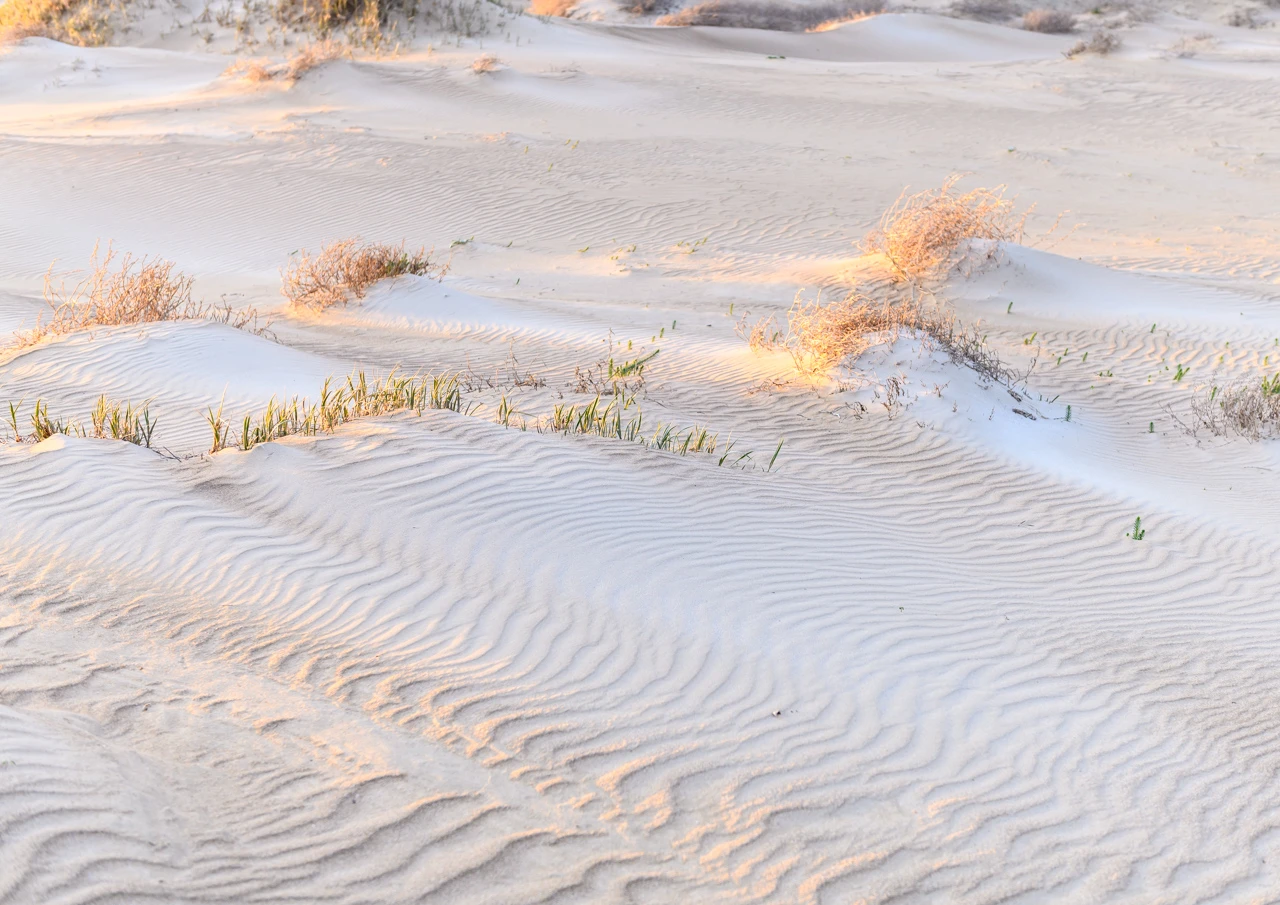 Lights on the sand Close up of sand dunes Yorke Peninsula