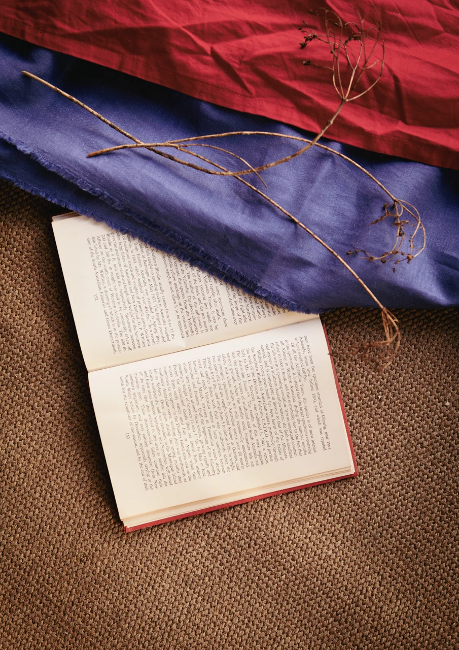 Book and red and purple material Book and red and blue cloth vintage style