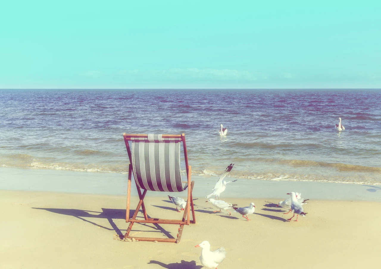Out from the bay pelicans and sun chair At the beach, sun chair and pelicans vintage style