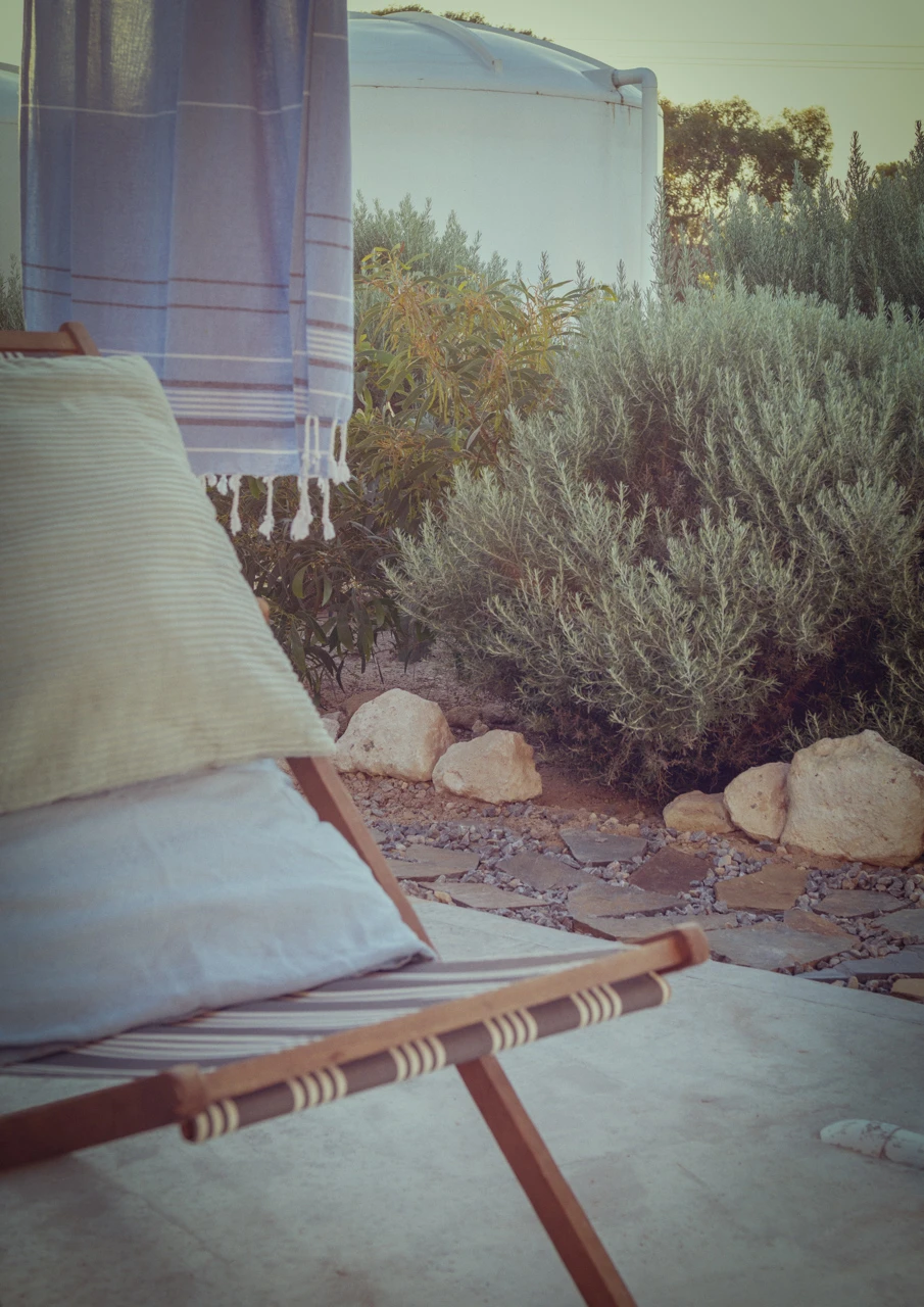 Sunset sitting in back yard-Edit Chairs in the sun