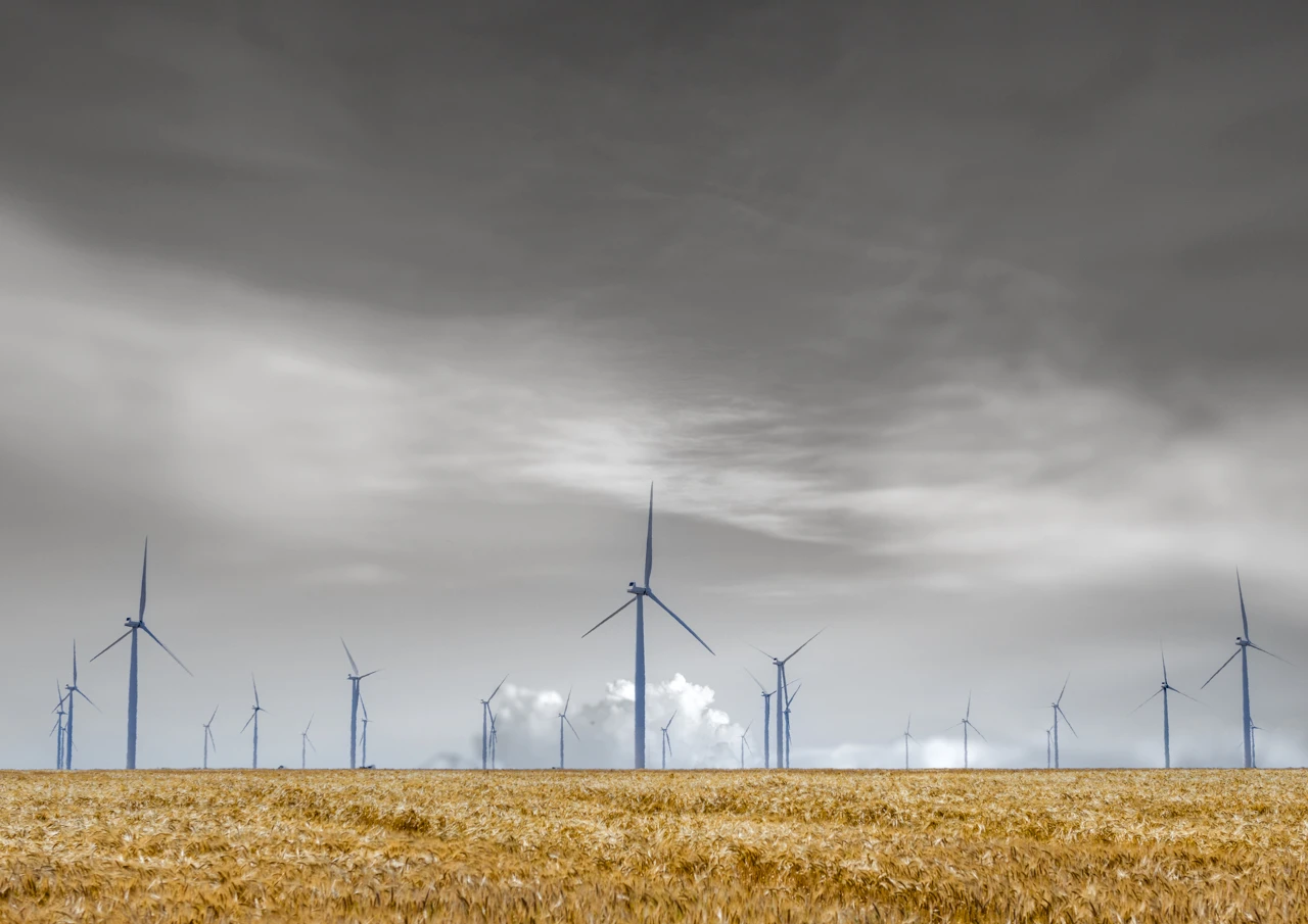 Wind turbines in a wheat field Wind turbines in a wheat field