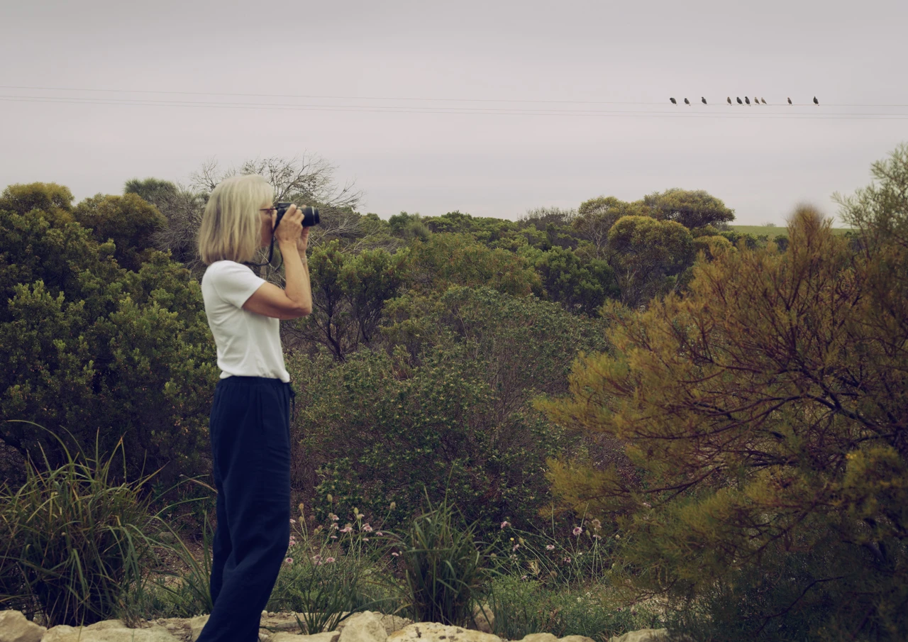 Wendy photographing-Edit-Edit-2 Wendy Philip photographing some birds on a line