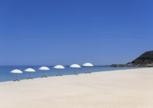 Single line of beach umbrellas on a clear blue day