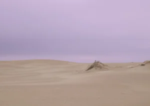 Pink sky over the desert