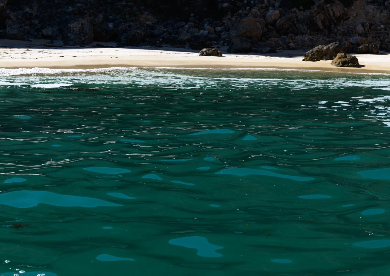 The dark green ocean Wilder beach Yorke Peninsula