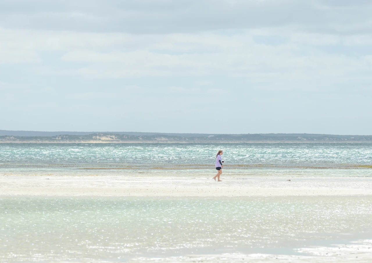 Grandchild strolling along the beach Penguin Point Marion Bay