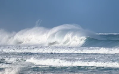 Huge waves which originate in Antarctica
