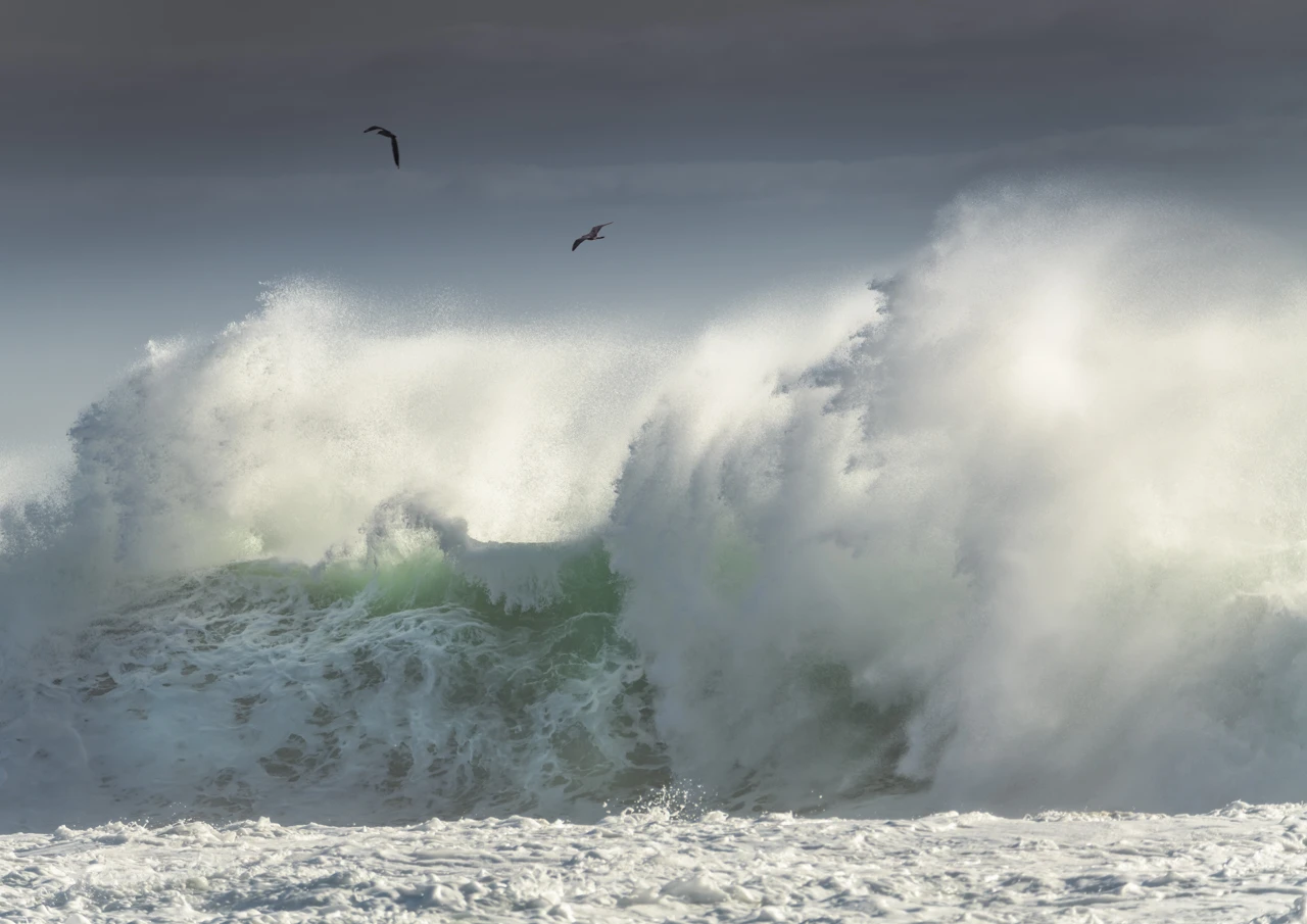 Birds and wild stormy waves Birds and wild stormy weather