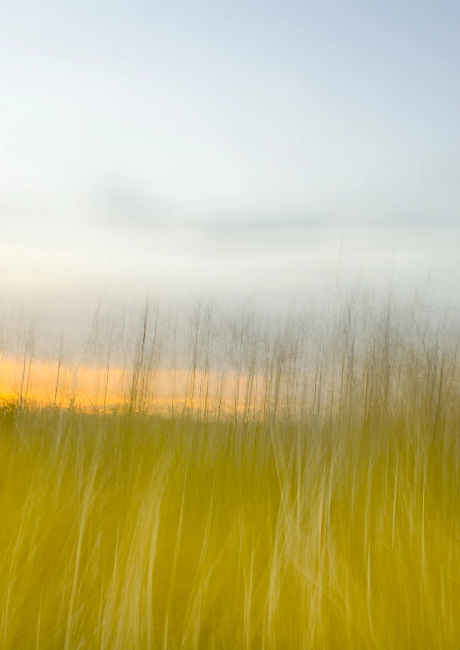 Motion blur, yellow field and setting sun