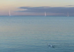Three yachts a Marion Bay Yorke peninsula