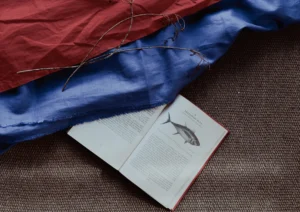 Fishing book and red and blue material