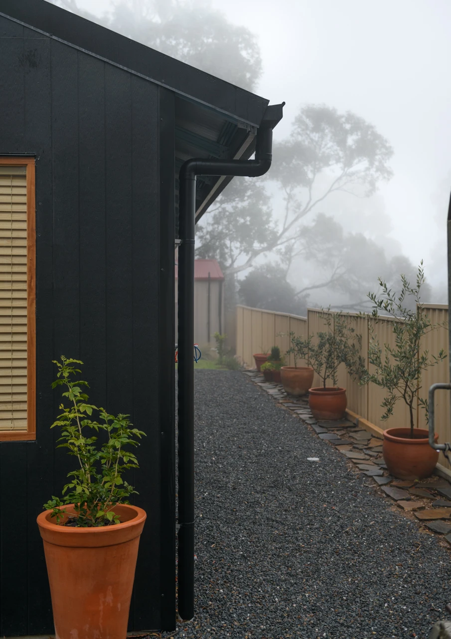 Black house and shingle with olive trees